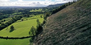 Rali Ceredigion expected to set new record for carbon offsetting