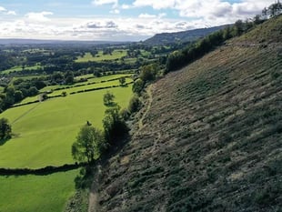 Rali Ceredigion expected to set new record for carbon offsetting