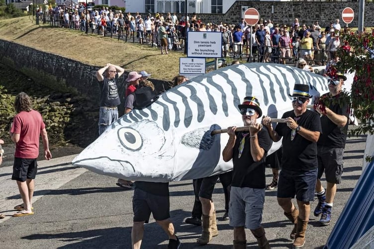 Mackerel