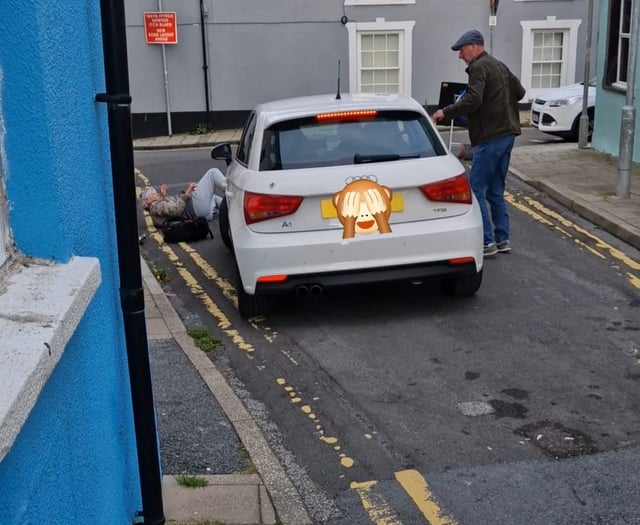 Woman fined for Vulcan street driving incident