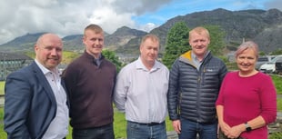 Brothers submit plans to supply 700 homes with electricity
