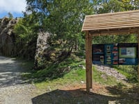 Elan Valley woodland made more accessible thanks to £53,000 project