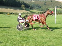 Goodtime Hal back to form with victory at New Radnor