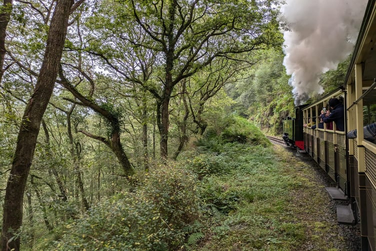 William Johnson posted this image and wrote 'Full steam ahead for the Vale of Rheidol steam train as it wends it way up the valley to Devil's Bridge'.