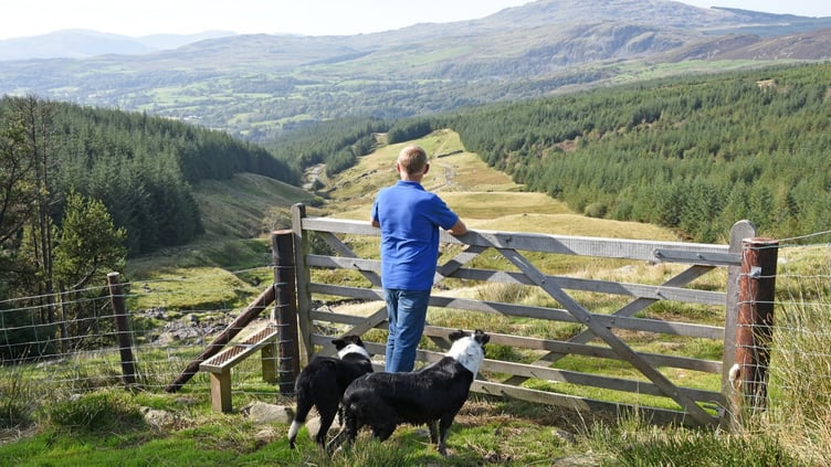 Welsh farmers are invited to participate in HCC’s annual ‘Farmer Intentions Survey’ to help assess current challenges in the red meat sector.