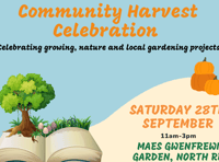Community harvest celebration coming to Aberystwyth this weekend