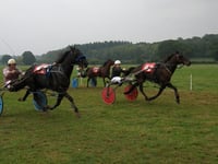 Ontop Shouda Cuda takes grade A win at harness racing charity day