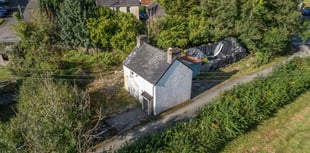 Pair of cottages with mountain views are "dream come true" 