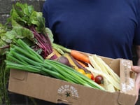 Help improve Ceredigion's food strategy by taking part in this survey