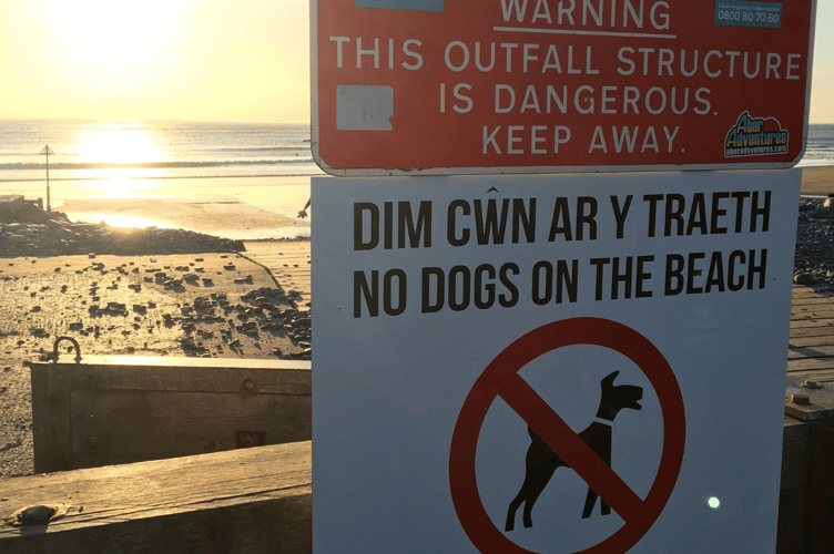 Beach ban dogs