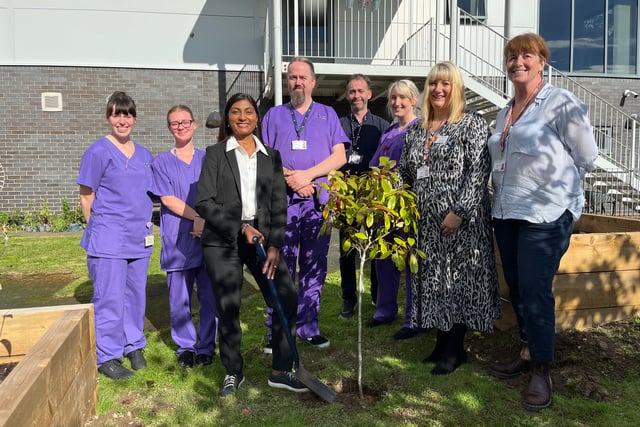 Top nurse plants tree to begin Aberystwyth wellbeing garden
