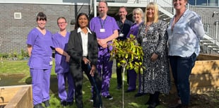 Top nurse plants tree to begin Aberystwyth wellbeing garden