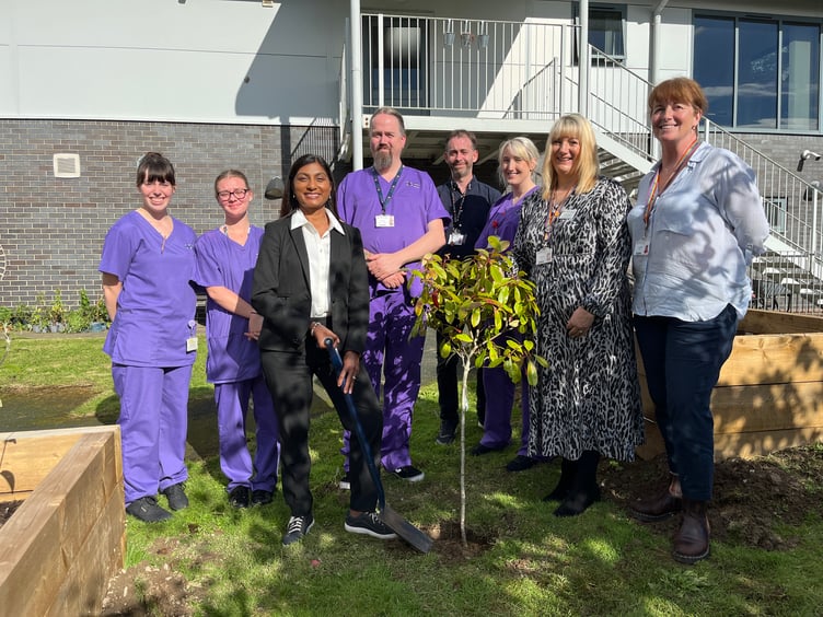 Chief Nursing Officer Sue Tranka and Amanda Jones, Principal in Healthcare Education at Aberystwyth University, with other staff and students planting the tree to mark the start of the new wellbeing garden