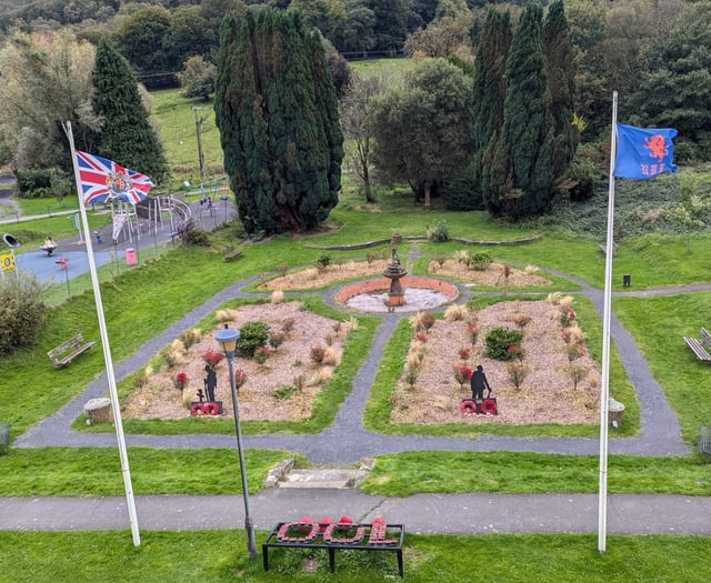 Councillor tells resident to 'forget those wars' about memorial flag