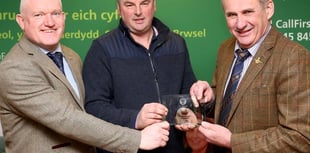 Search is on for Wales’ next Livestock Champion