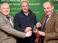 Search is on for Wales’ next Livestock Champion