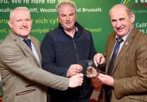 Search is on for Wales’ next Livestock Champion