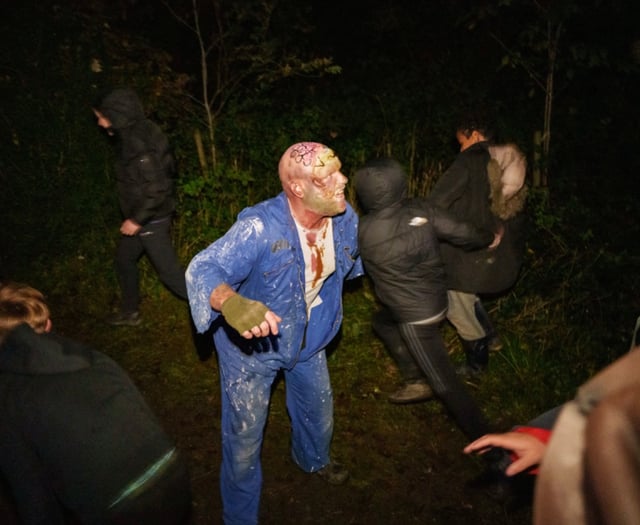Event organisers issue plea after pulling plug on Halloween event