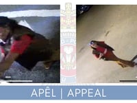 CCTV released as police investigate flower basket theft