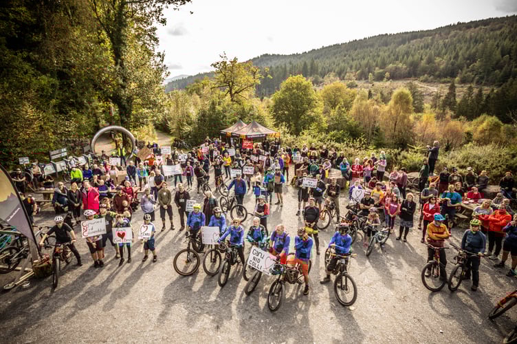 Coed y Brenin