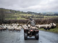 Rural crime in Wales on the rise