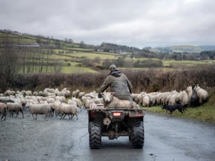Rural crime in Wales on the rise