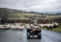 Rural crime in Wales on the rise