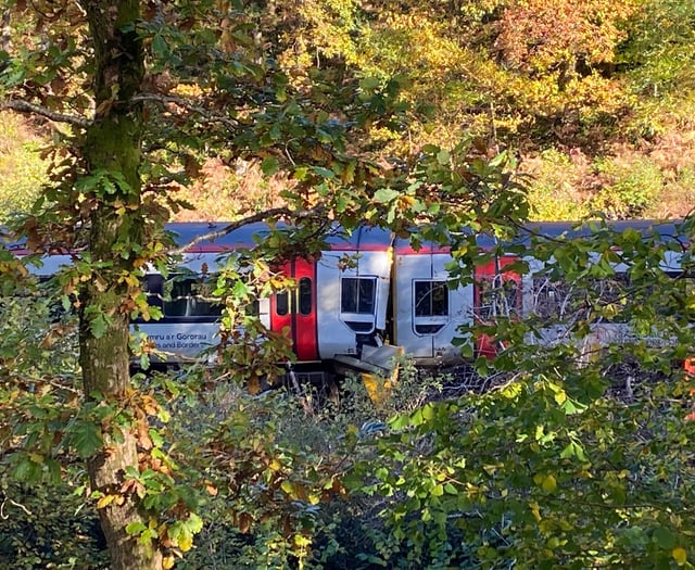 Police say man who died in train crash was in his 60s