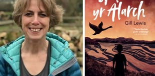 Gweithgareddau i ddarllenwyr Galwad yr Alarch