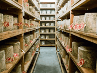 22 tons of cheese including Hafod Welsh cheddar stolen