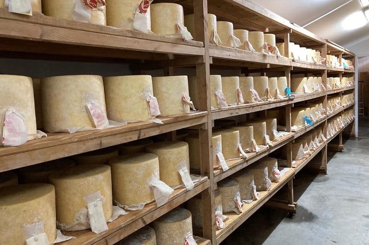 Wheels of Hafod cheddar described by Neal's Yard Dairy as 'rich, layered flavours and a supple texture, its interior reveals a warmly golden paste and the occasional blue vein'.