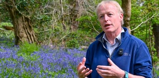 Governments need to take nature into account 