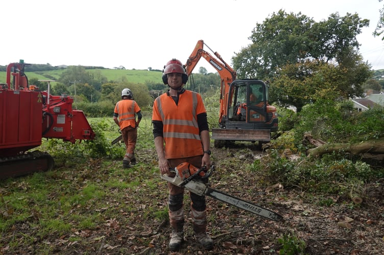 Welsh Government Lampeter Tree Services