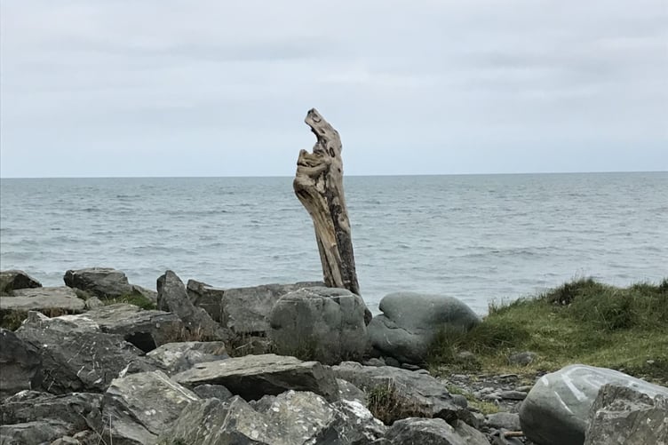 A Madonna and child in the driftwood at Tan y Bwlch Beach