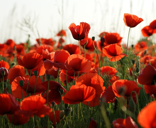 Llanbedr roads will close for Remembrance services