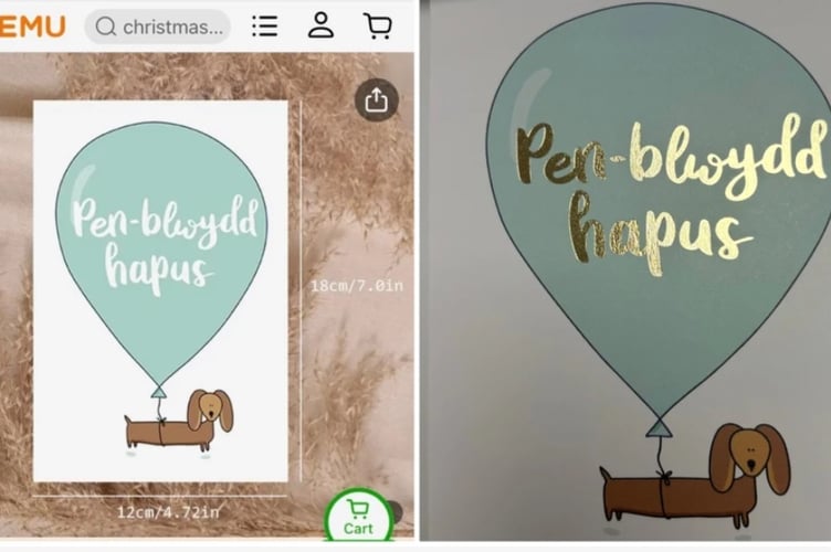 Anwen's design (right) could be found on Temu. Photo: BBC