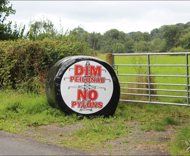 Would cash sweetener entice objectors to back pylon plans?