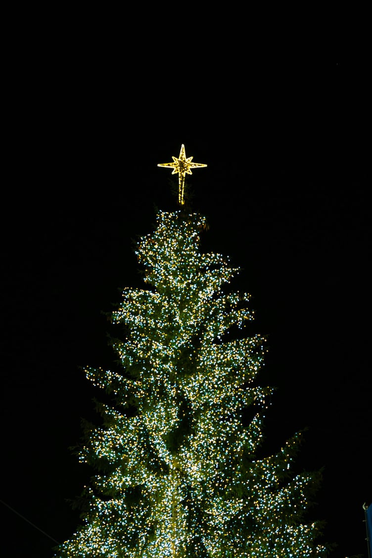 Christmas lights tree