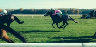  Ffos Las among top 10 racecourses with  biggest increases in searches