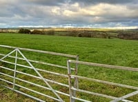 Home plan deferred after refusal recommendation