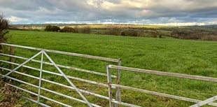 Home plan deferred after refusal recommendation