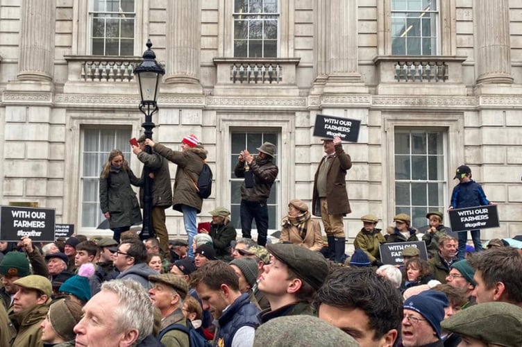 Farmers march on Whitehall in London on November 19 2024
