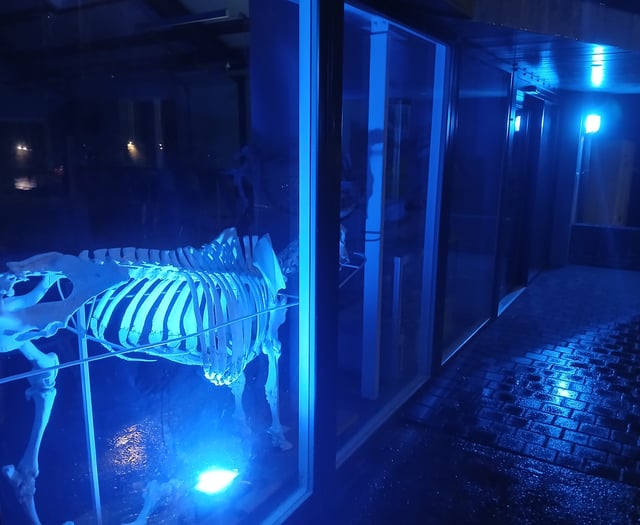 Aberystwyth vet school lit up blue for awareness week