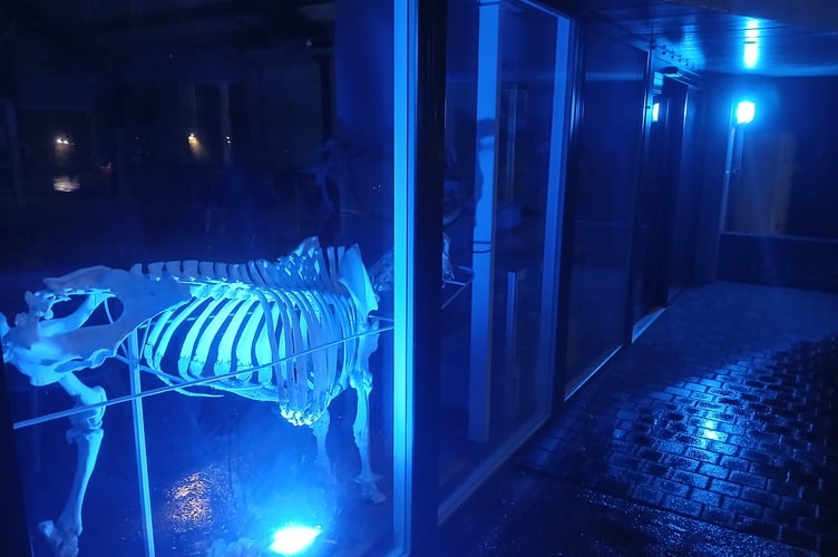 Aberystwyth University’s School of Veterinary Science lit up blue for World Antimicrobial Resistance Awareness Week