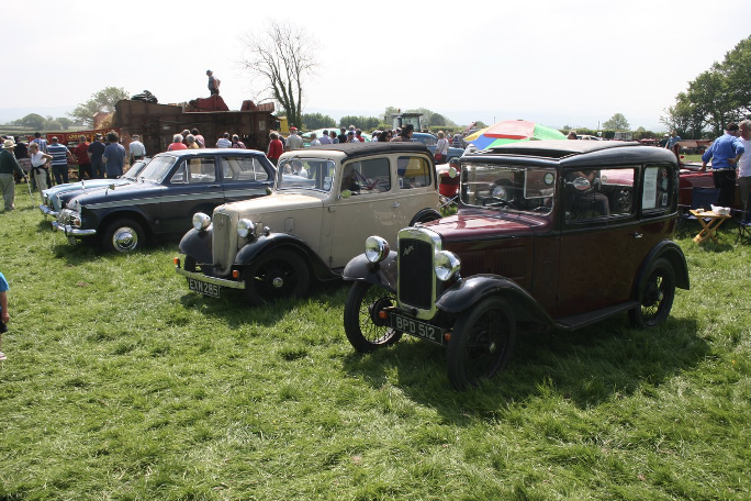 Teifi vintage