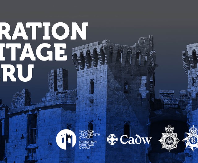 Police appeal for help to tackle heritage crimes