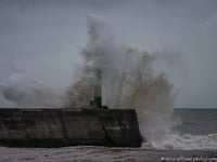 Some of the best readers' pictures from November