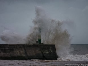 Some of the best readers' pictures from November