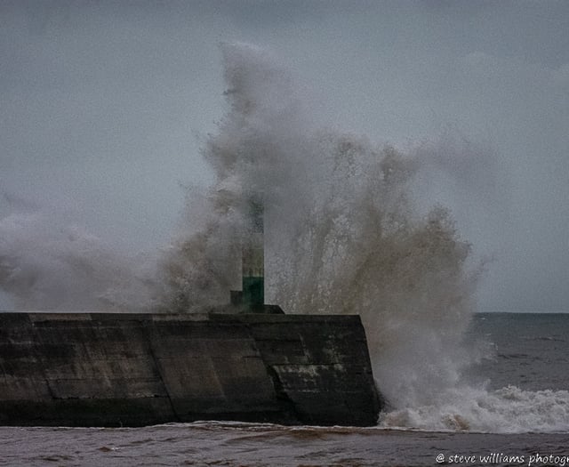 Some of the best readers' pictures from November