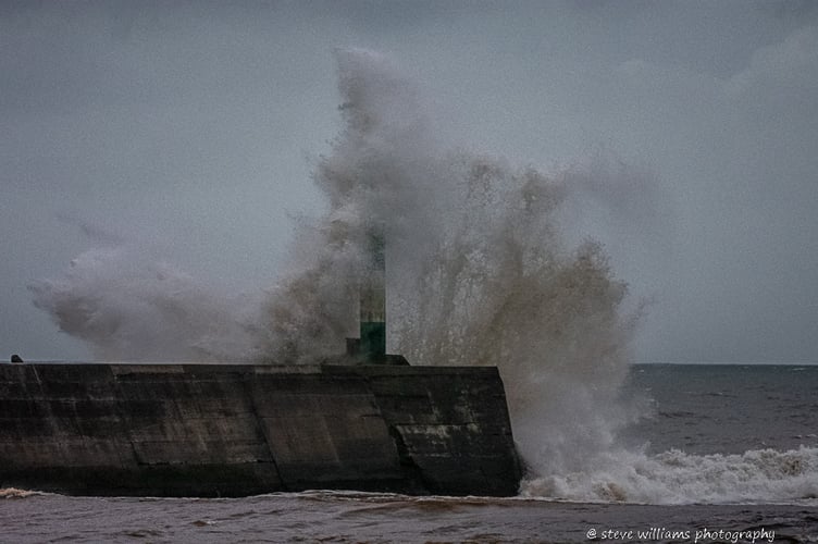 Storm Bert